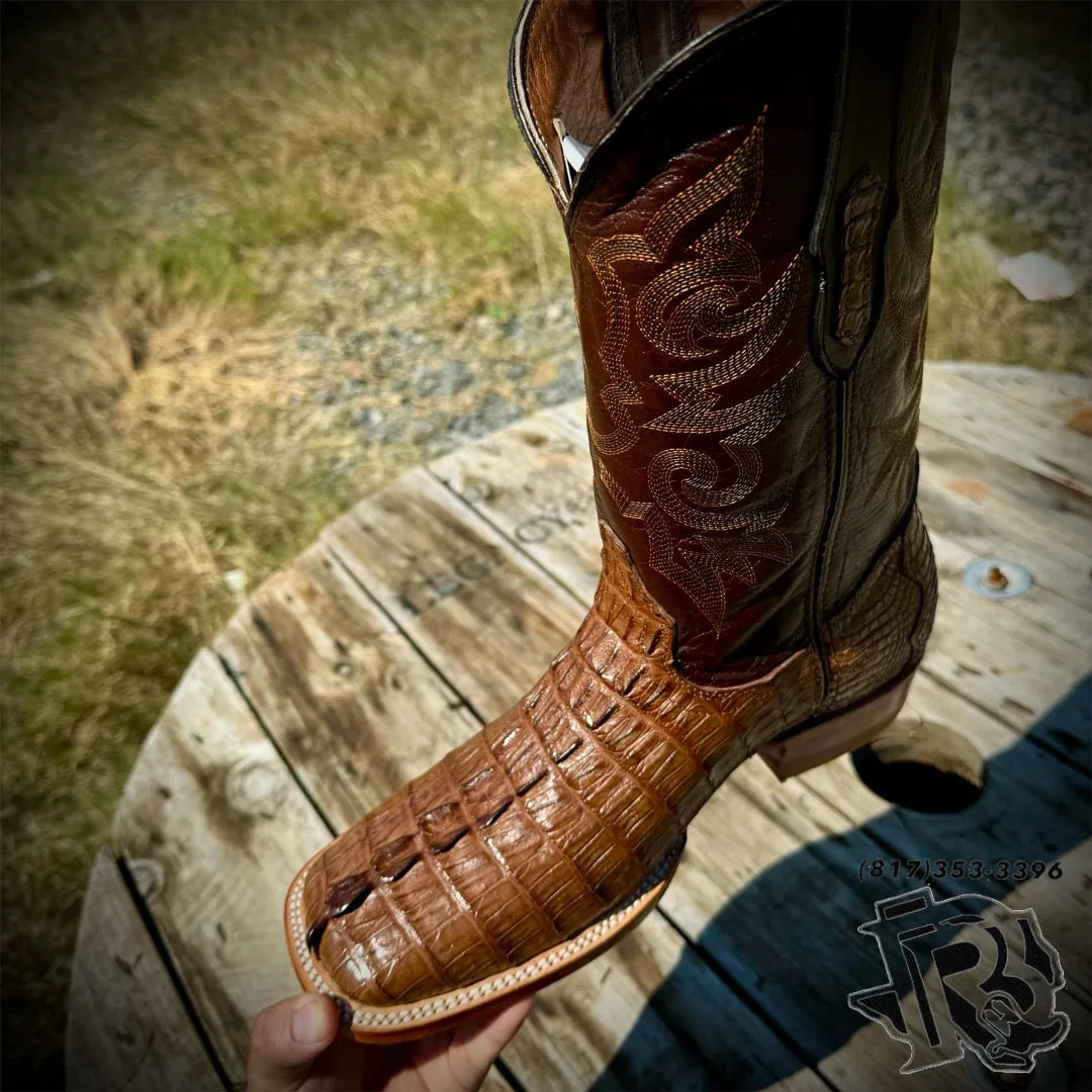 “ BUCK “ | CAIMAN TAIL ORIGINAL COLOR CIGAR CUERO SQUARE TOE BOOTS