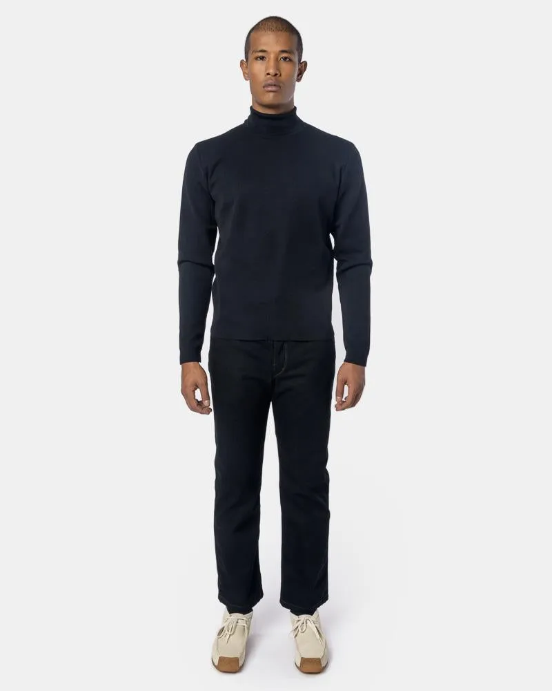 Light Turtleneck in Black