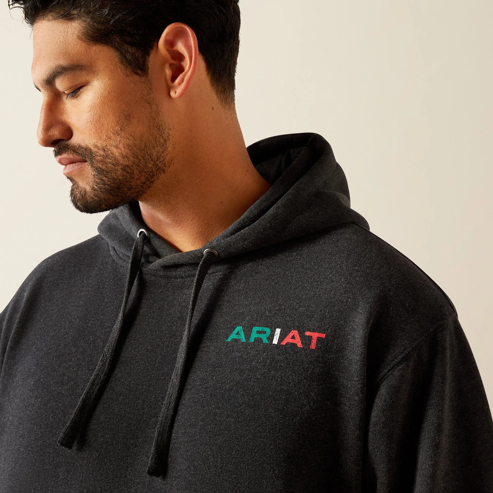 Men's Ariat Mexico Flag Lockup Hoodie #10051998