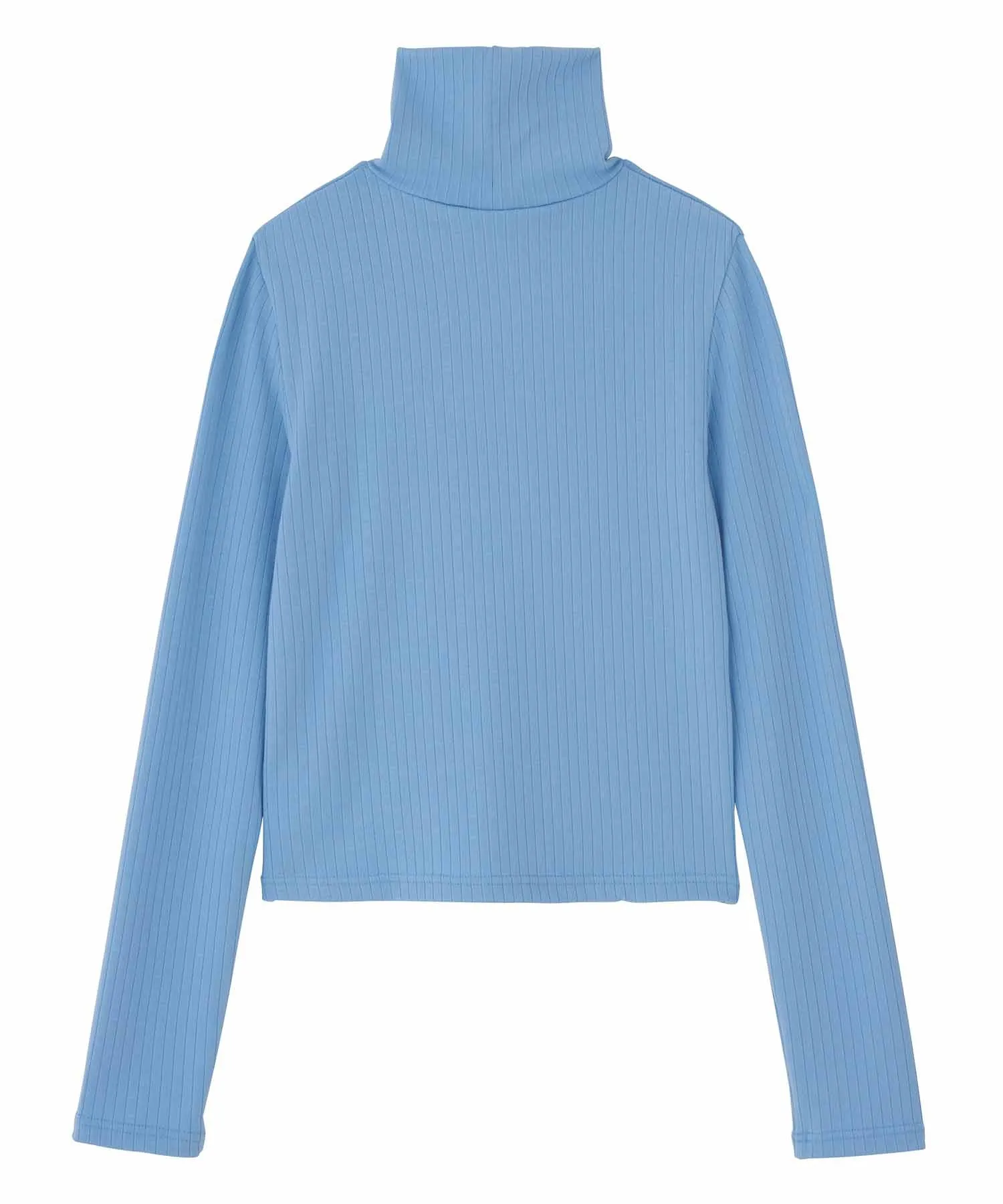 WIDE RIB TURTLENECK TOP